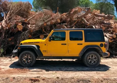 Oferta renting Jeep Wrangler